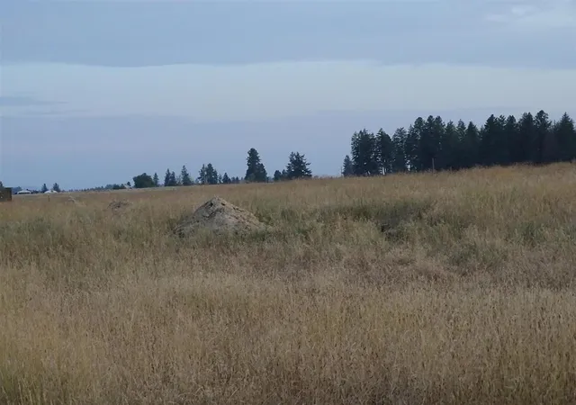 image of Orchard Rd, Chattaroy, WA 99003 | MLS# 202622444
