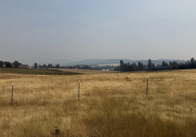 1st image of 13xxx E Gibbs Rd, Mica, WA 99023 | MLS# 202622464