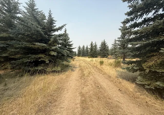 2nd image of 13xxx E Gibbs Rd, Mica, WA 99023 | MLS# 202622464