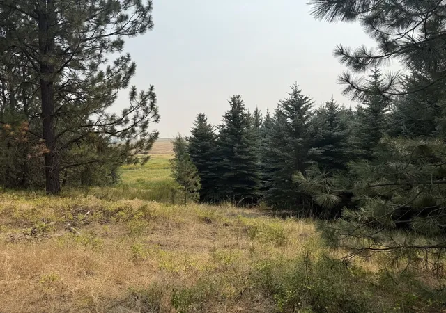 3rd image of 13Xxx E Gibbs Rd, Mica, WA 99023 | MLS# 202622464