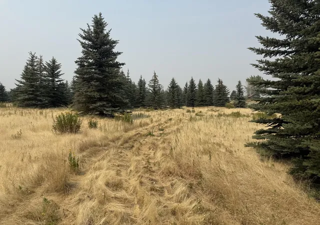 5th image of 13Xxx E Gibbs Rd, Mica, WA 99023 | MLS# 202622464