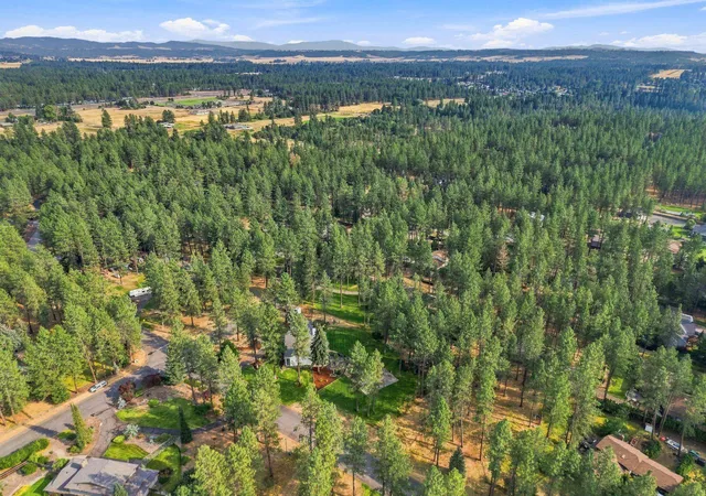 43rd image of 17317 N Saddle Hill Rd, Colbert, WA 99005 | MLS# 202622484