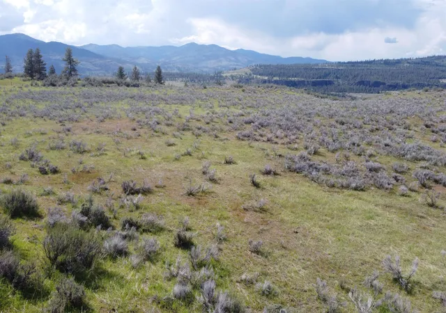 Photo 3 of Land for sale at 1axx N 25 Highway, Davenport, WA 99122 | MLS# 202622487 | Listing updated on 2026-08-19