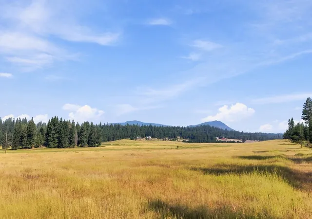 Photo 3 of Land for sale at 2 Jermain Rd, Newport, WA 99156 | MLS# 202622514 | Listing updated on 2026-08-20
