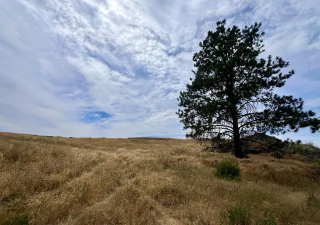 Photo 1 of Land for sale at 402 E Porak St, Sprague, WA 99032 | MLS# 202622540 | Listing updated on 2026-08-20