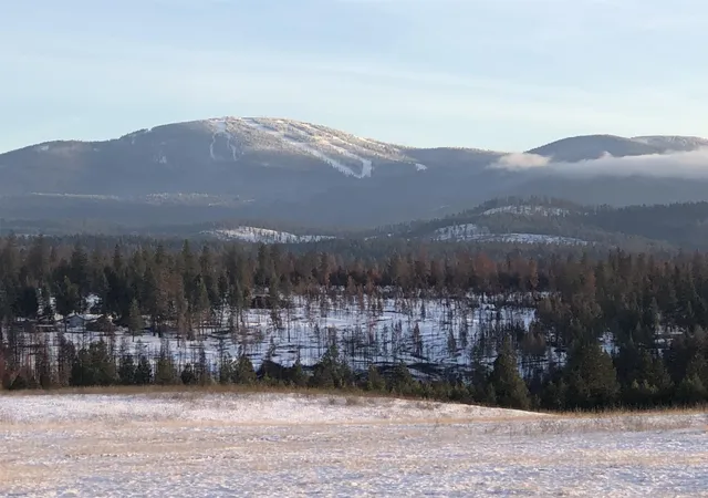Land for sale at 41900 N Darknell Rd, Elk, WA 99009 | MLS# 202622572