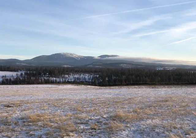Photo 2 of Land for sale at 41900 N Darknell Rd, Elk, WA 99009 | MLS# 202622572 | Listing updated on 2026-08-20
