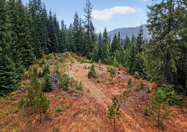 24th image of Nk Stanley Dr, Newport, WA 99156 | MLS# 202622600