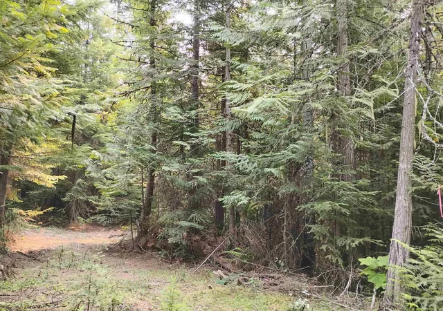 Photo 1 of Land for sale at 589 Scheller Ln, Usk, WA 99180 | MLS# 202622616 | Listing updated on 2026-08-22