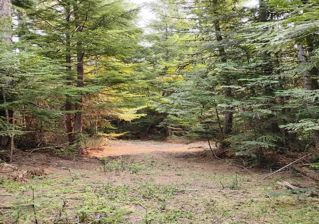 Photo 2 of Land for sale at 589 Scheller Ln, Usk, WA 99180 | MLS# 202622616 | Listing updated on 2026-08-22