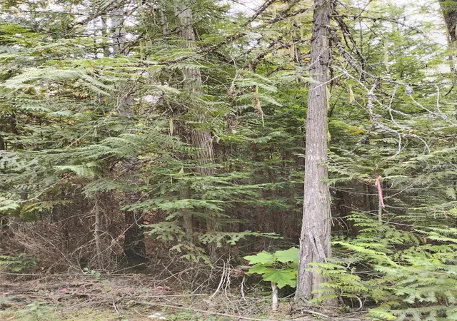 Photo 3 of Land for sale at 589 Scheller Ln, Usk, WA 99180 | MLS# 202622616 | Listing updated on 2026-08-22