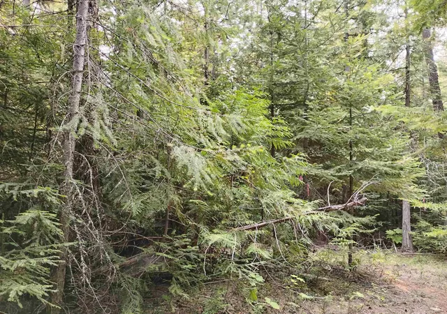 Photo 3 of Land for sale at 589 Scheller Ln, Usk, WA 99180 | MLS# 202622616 | Listing updated on 2026-08-22
