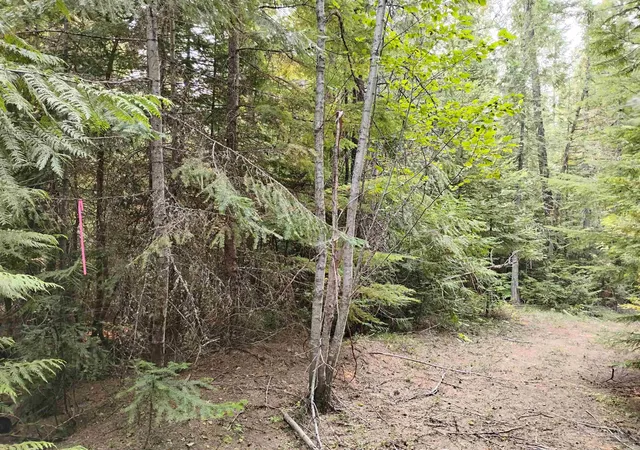 Photo 4 of Land for sale at 589 Scheller Ln, Usk, WA 99180 | MLS# 202622616 | Listing updated on 2026-08-22