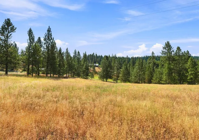 35th image of 0 N Scotts Ridge Ln, Chattaroy, WA 99003 | MLS# 202622646