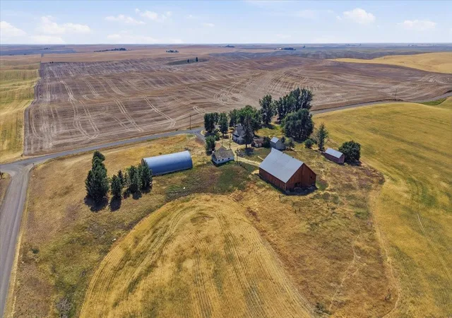 39th image of 44933 E Detour Rd, Davenport, WA 99122 | MLS# 202622651