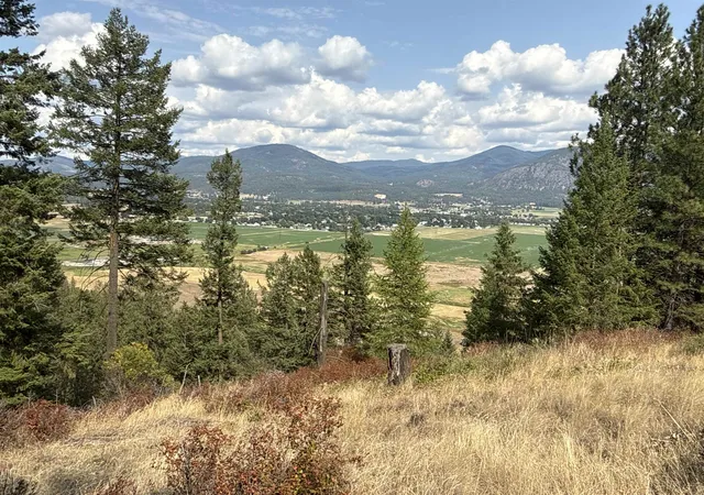 1st image of Nka Pine Rose (lot 1) Wy, Chewelah, WA 99109 | MLS# 202622688