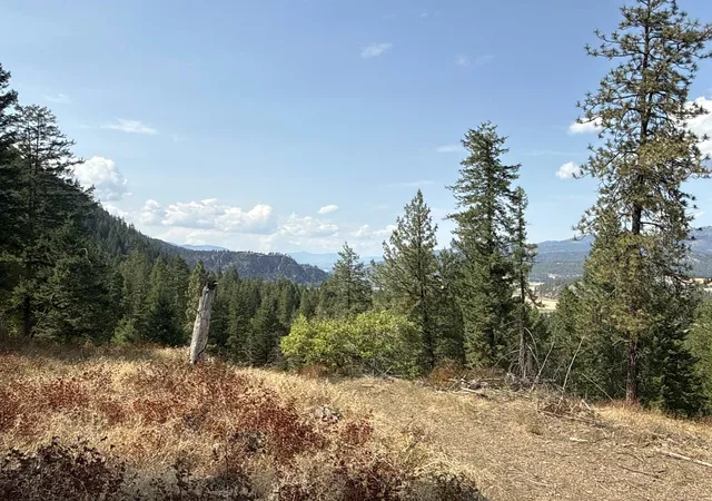 2nd image of Nka Pine Rose (lot 1) Wy, Chewelah, WA 99109 | MLS# 202622688