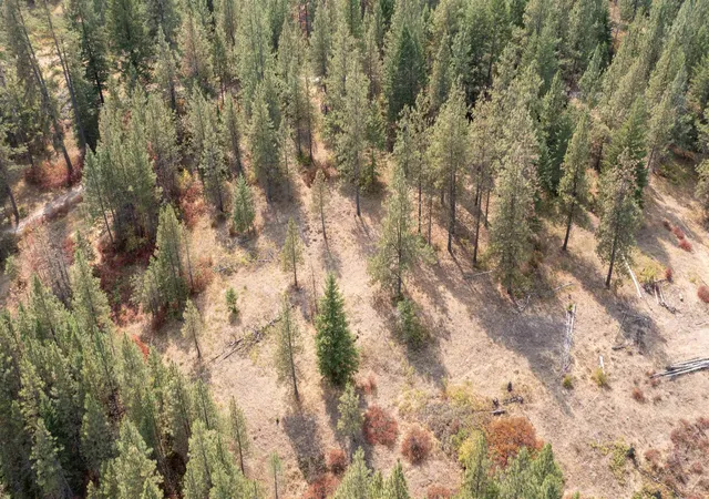 21st image of Nka Pine Rose (lot 1) Wy, Chewelah, WA 99109 | MLS# 202622688