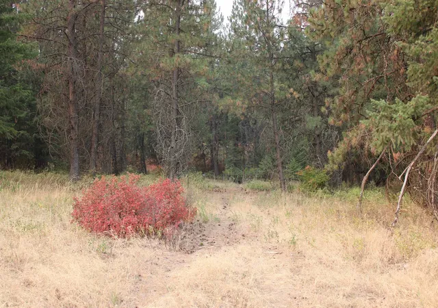 Photo 3 of Land for sale at Nka Pine Rose (lot 1) Way, Chewelah, WA 99109 | MLS# 202622688 | Listing updated on 2026-08-22