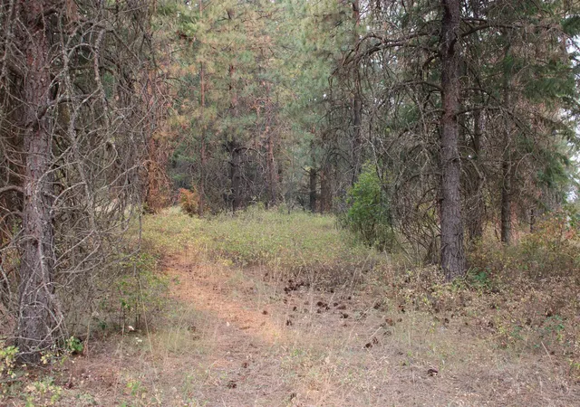 Photo 3 of Land for sale at Nka Pine Rose (lot 1) Way, Chewelah, WA 99109 | MLS# 202622688 | Listing updated on 2026-08-22