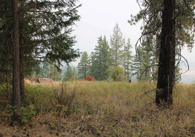 Photo 4 of Land for sale at Nka Pine Rose (lot 1) Way, Chewelah, WA 99109 | MLS# 202622688 | Listing updated on 2026-08-22