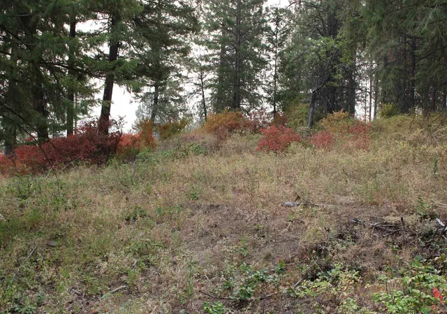 Photo 3 of Land for sale at Nka Pine Rose (lot 2) Way, Chewelah, WA 99109 | MLS# 202622689 | Listing updated on 2026-08-22