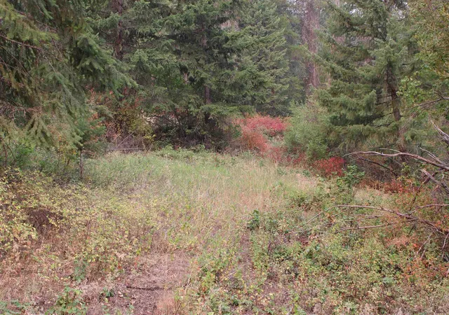 Photo 3 of Land for sale at Nka Pine Rose (lot 2) Way, Chewelah, WA 99109 | MLS# 202622689 | Listing updated on 2026-08-22