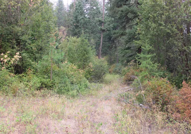 Photo 2 of Land for sale at Nka Pine Rose (lot 3) Way, Chewelah, WA 99109 | MLS# 202622690 | Listing updated on 2026-08-22