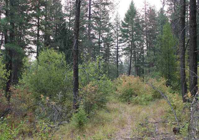 Photo 3 of Land for sale at Nka Pine Rose (lot 3) Way, Chewelah, WA 99109 | MLS# 202622690 | Listing updated on 2026-08-22