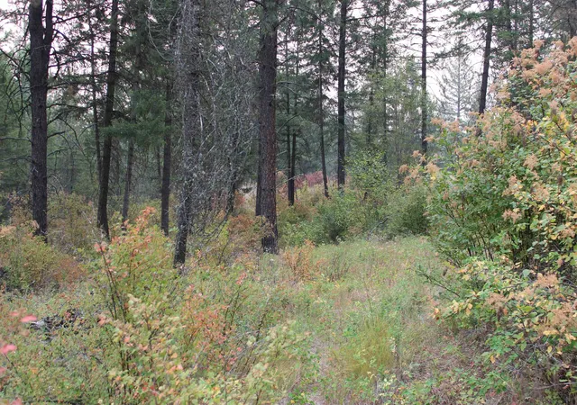Photo 3 of Land for sale at Nka Pine Rose (lot 3) Way, Chewelah, WA 99109 | MLS# 202622690 | Listing updated on 2026-08-22