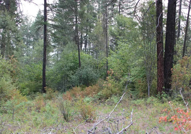 Photo 4 of Land for sale at Nka Pine Rose (lot 3) Way, Chewelah, WA 99109 | MLS# 202622690 | Listing updated on 2026-08-22