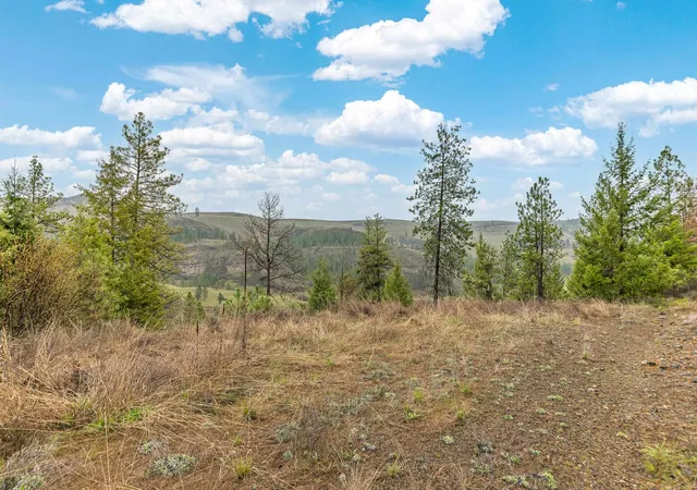Photo 3 of Land for sale at 35394 Spruce Grouse Ln N, Davenport, WA 99122 | MLS# 202622719 | Listing updated on 2026-08-24