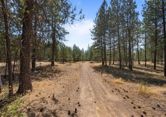 Photo 3 of Land for sale at 00 N Mathias Ln, Nine Mile Falls, WA 99026 | MLS# 202622750 | Listing updated on 2026-08-24