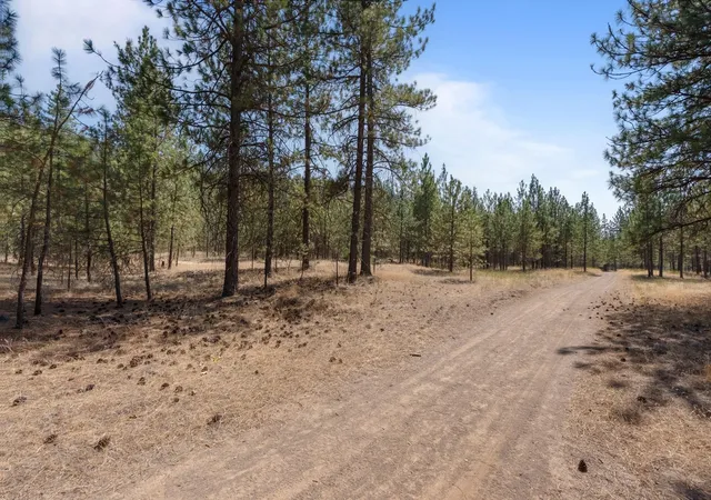 Photo 3 of Land for sale at 00 N Mathias Ln, Nine Mile Falls, WA 99026 | MLS# 202622750 | Listing updated on 2026-08-24
