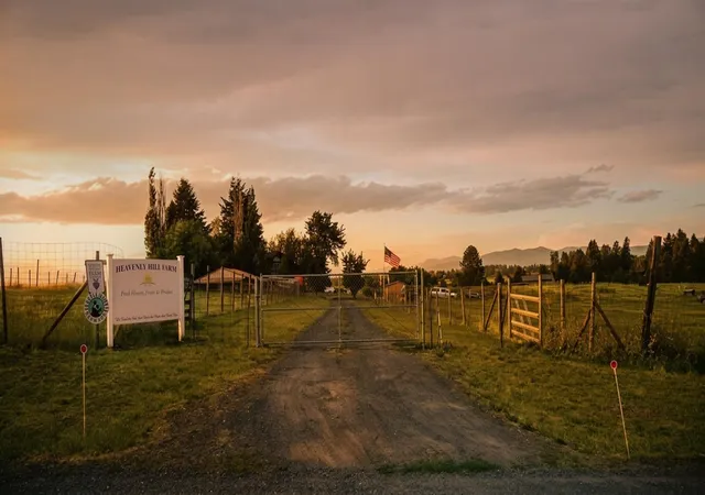 Photo 4 of Single family home for sale at 11726 E Day Mt Spokane Rd, Mead, WA 99021 | MLS# 202622866 | Listing updated on 2026-09-04