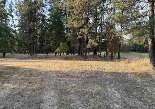31st image of 3824 Powers Rd, Loon Lake, WA 99148 | MLS# 202622906