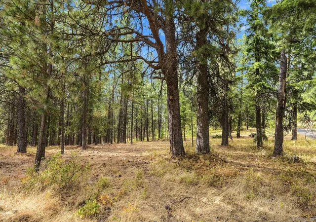 Photo 4 of Land for sale at Nka S Park Ln, Spokane, WA 99223 | MLS# 202622930 | Listing updated on 2026-08-27