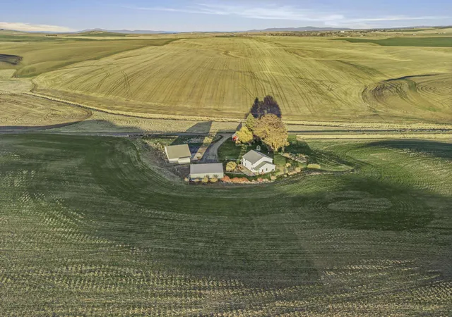 Photo 4 of Single family home for sale at 28805 Schumer Road North Rd, Reardan, WA 99029 | MLS# 202622948 | Listing updated on 2026-10-01