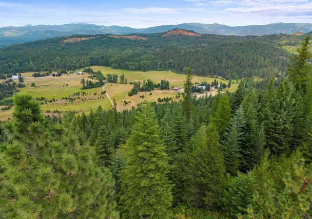 Photo 4 of Land for sale at 4851 Coyote Trl, Newport, WA 99156 | MLS# 202622990 | Listing updated on 2026-09-30