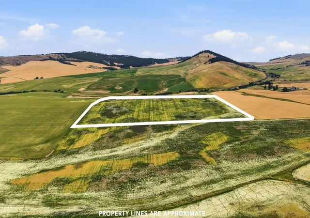 Photo 3 of Sale Pending at 395 Acre Lot, Wheeler Rd, Latah, WA 99018 | MLS# 202623092 | Listing updated on 2026-09-26