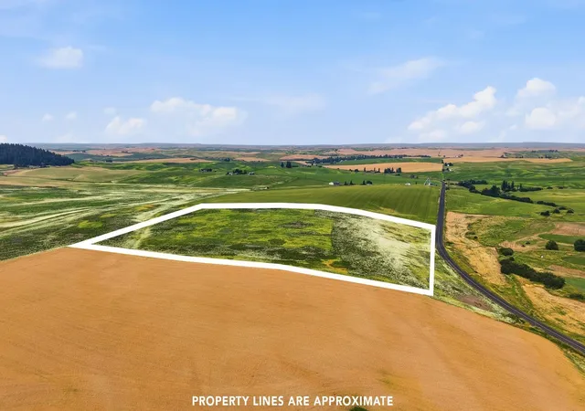 Photo 4 of Sale Pending at 395 Acre Lot, Wheeler Rd, Latah, WA 99018 | MLS# 202623092 | Listing updated on 2026-09-26