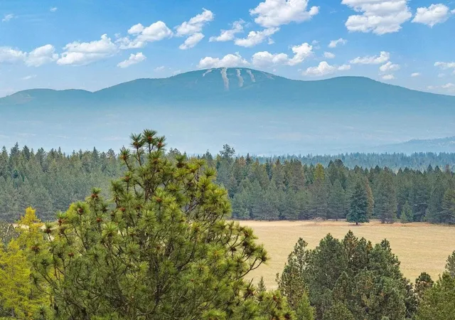 image of 619 Duffer Loop, Deer Park, WA 99006 | MLS# 202623117