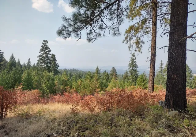 Photo 2 of Land for sale at X Lodgepole Ln, Elk, WA 99009 | MLS# 202623125 | Listing updated on 2026-09-01