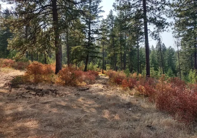 Photo 9 of Land for sale at X Lodgepole Ln, Elk, WA 99009 | MLS# 202623125 | Listing updated on 2026-09-01