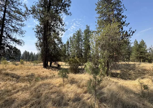 Photo 2 of Land for sale at 9916 W Newkirk Rd, Spokane, WA 99224 | MLS# 202623172 | Listing updated on 2026-10-08