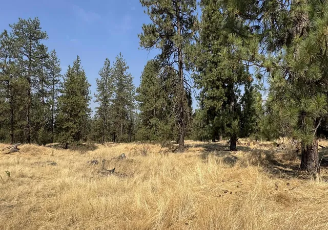 Photo 3 of Land for sale at 9916 W Newkirk Rd, Spokane, WA 99224 | MLS# 202623172 | Listing updated on 2026-10-08