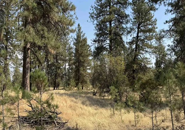 Photo 3 of Land for sale at 9916 W Newkirk Rd, Spokane, WA 99224 | MLS# 202623172 | Listing updated on 2026-10-08
