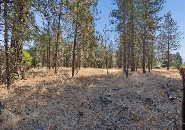 Photo 3 of Land for sale at 21324 N Myrtle Rd, Colbert, WA 99005 | MLS# 202623279 | Listing updated on 2026-09-25