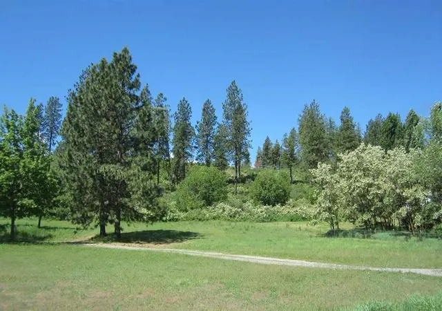 Photo 2 of Land for sale at 29411 N Dunn Rd, Chattaroy, WA 99003 | MLS# 202623337 | Listing updated on 2026-10-09