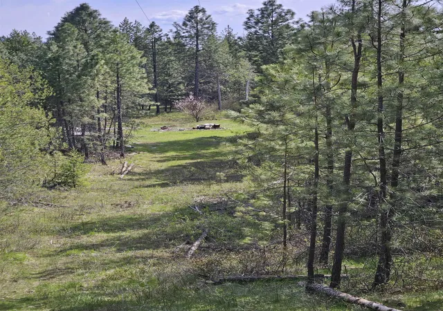 Photo 3 of Land for sale at 4464 Woods Way Rd, Springdale, WA 99173 | MLS# 202623362 | Listing updated on 2026-10-26